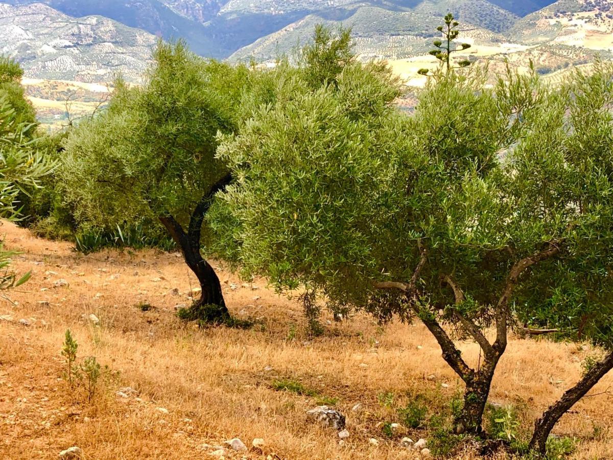 El Oasis Villa Algodonales Kültér fotó