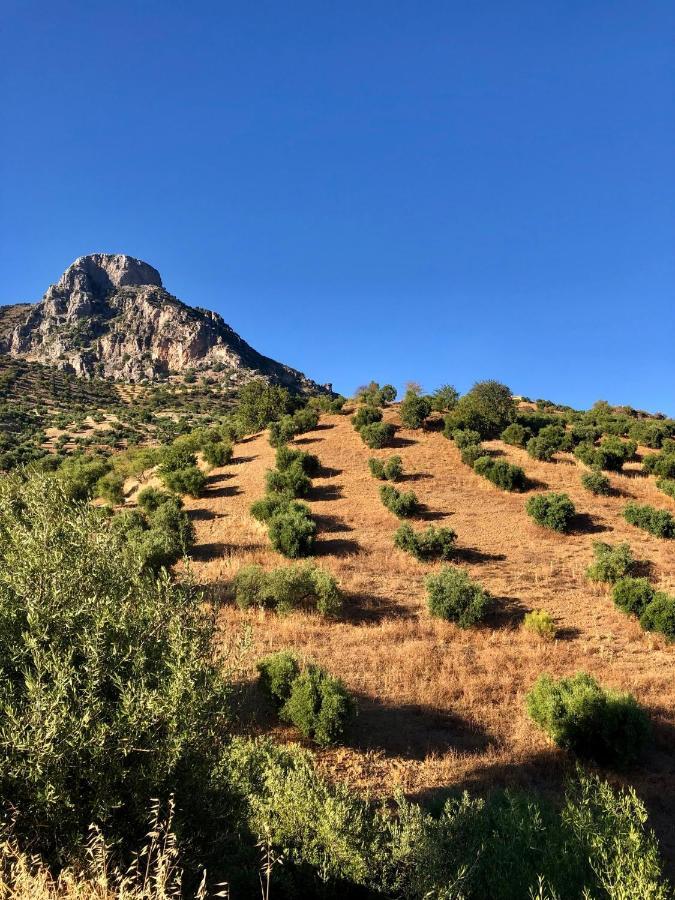 El Oasis Villa Algodonales Kültér fotó