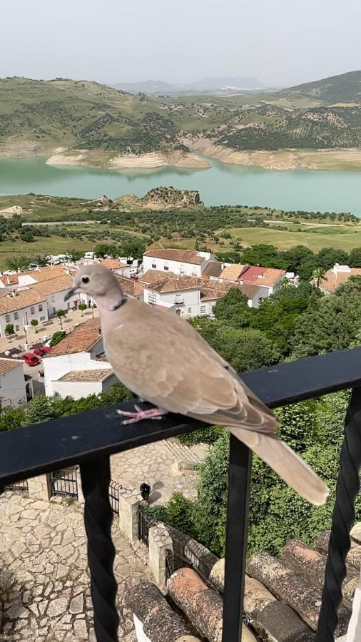 El Oasis Villa Algodonales Kültér fotó